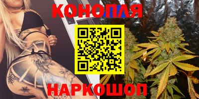 трава Кингисепп