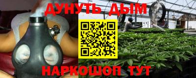 трава Кингисепп