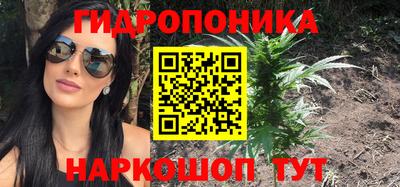 трава Кингисепп