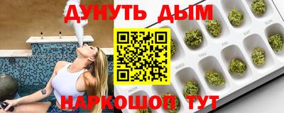 трава Кингисепп