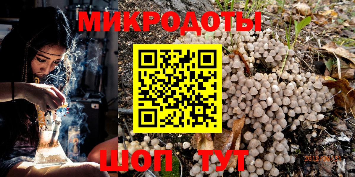 Псилоцибиновые грибы Psilocybe  Вход с VPN  Псилоцибиновые грибы ЛСД  Балтийск 