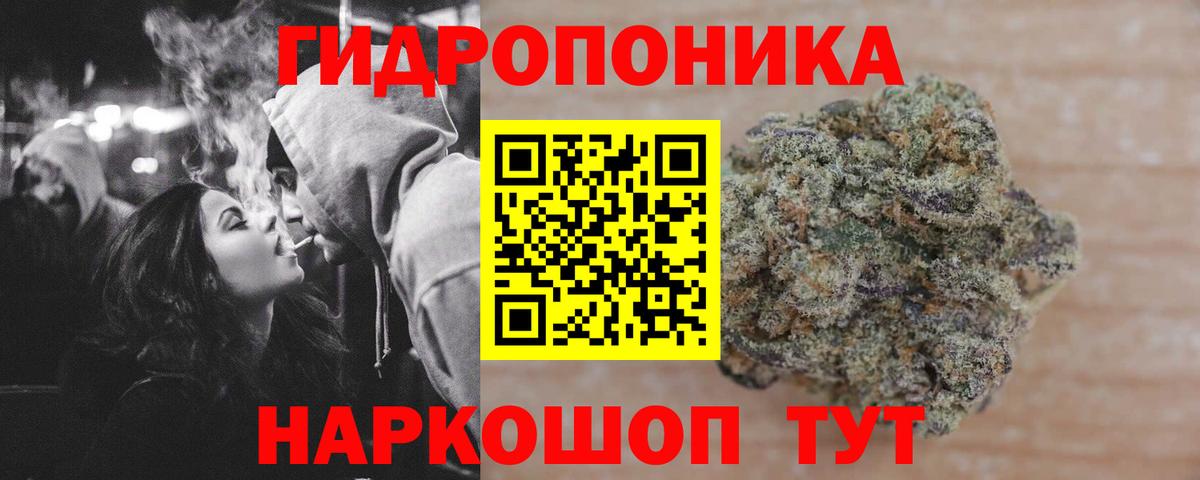 Балтийск  Каннабис SATIVA & INDICA  Шишки марихуана THC 21%  Бошки Шишки индика  Вход с VPN  МАРИХУАНА SATIVA & INDICA 